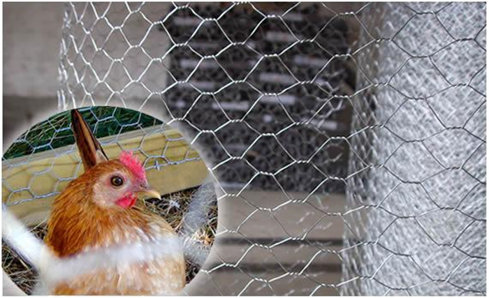 Hexagonal Poultry Netting