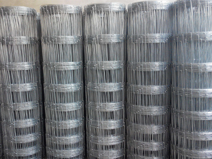 Woven Wire Fencing