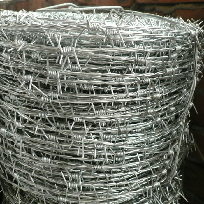 Hot-dip Galvanized Barbed Wire For Security Fence