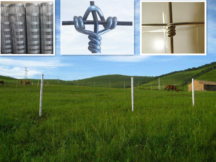 Galvanized Kraal Network