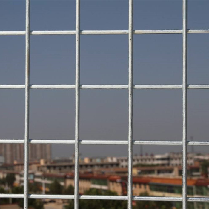 Steel Wire Mesh