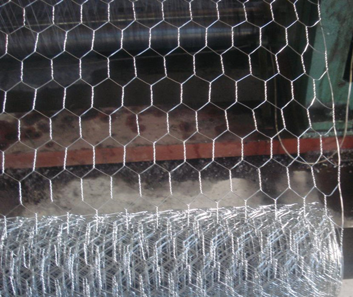 Galvanized Chicken Wire