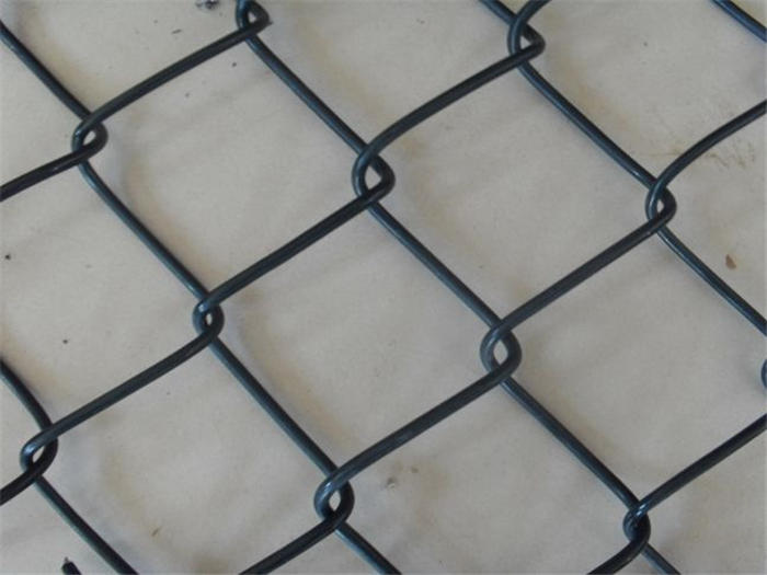 PVC Diamond Wire Mesh