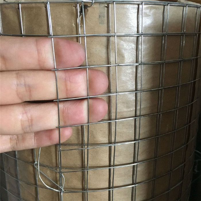 Hot-dip Galvanized Welded Mesh