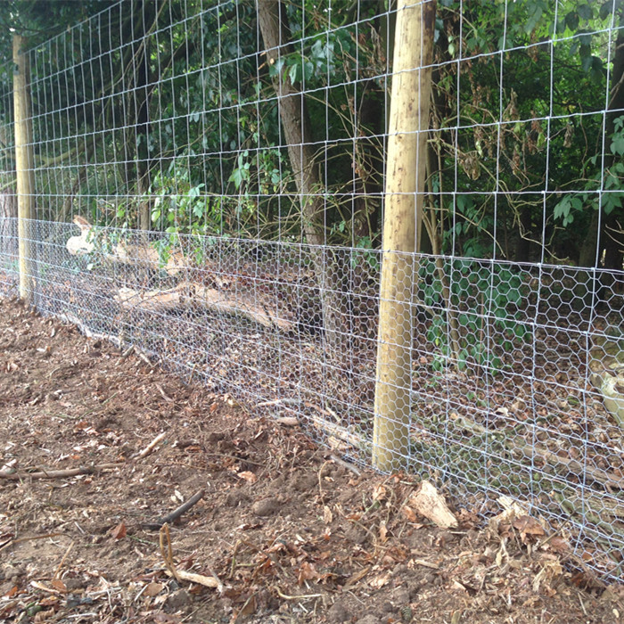 Wire Mesh Fencing