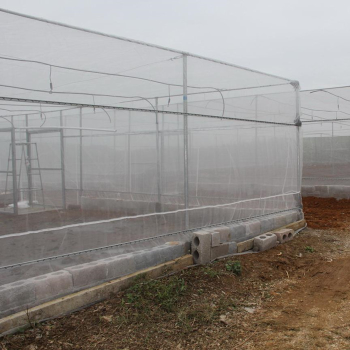 ffe466720c643439e9b05b0a4b